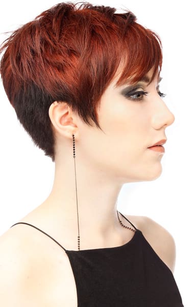 Deep red and brunette bicolor hair on feathered pixie hair cut.